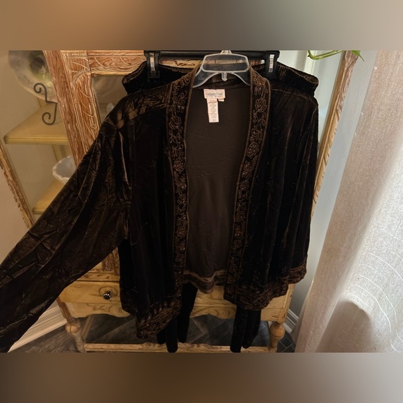 Coldwater Creek Womens Size 24 Brown Beaded Pant Set - Picture 2 of 8